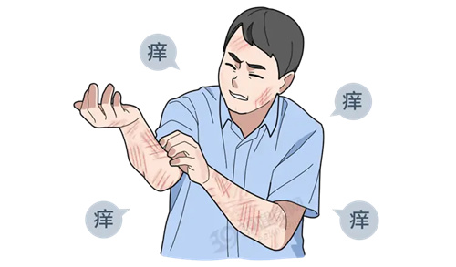 图片细节